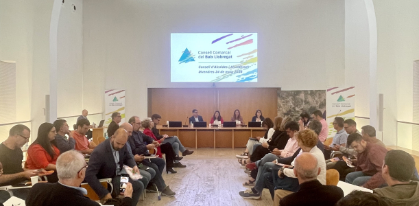 Consell d'alcaldes i alcaldesses del Baix Llobregat celebrat el 24 de maig de 2024